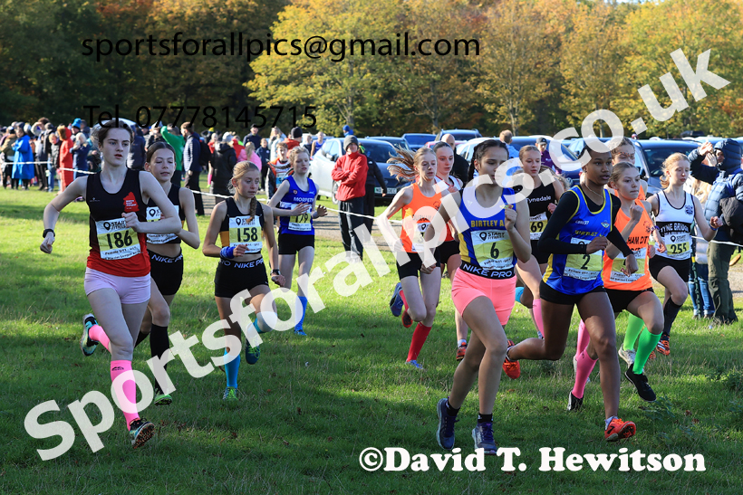 Girls Under-15s, 2025 Start Fitness NEHL, Lambton, County Durham. Photo: David T. Hewitson/Sports for All Pics